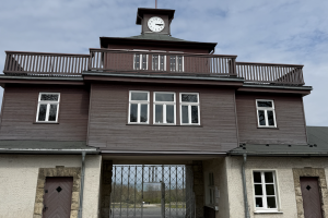 20260416_Buchenwald_Foto01